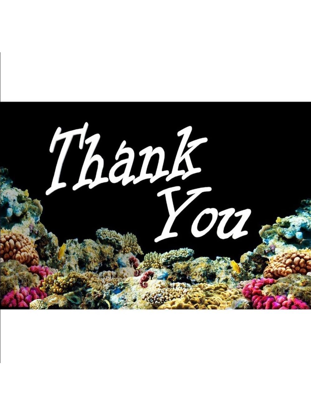100 2" - 3 1/2" Ocean Coral Reef Cards. PRICE IS FIRM - Picture 2 of 2